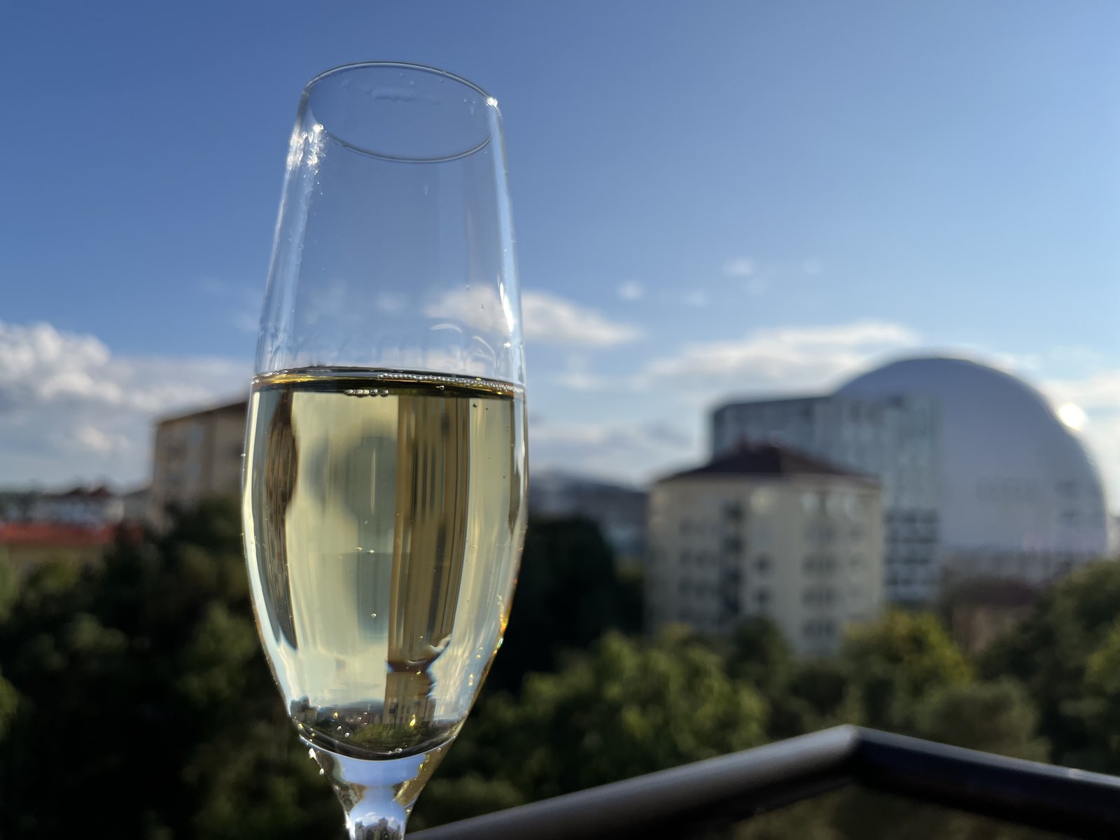 IMG_4856.jpeg IMG_4856.jpeg