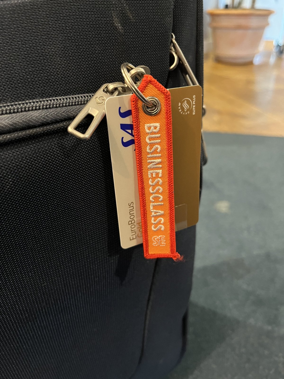 IMG_5100.jpeg IMG_5100.jpeg