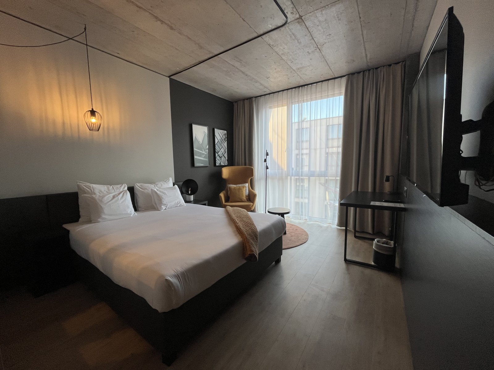 IMG_5330.jpeg IMG_5330.jpeg