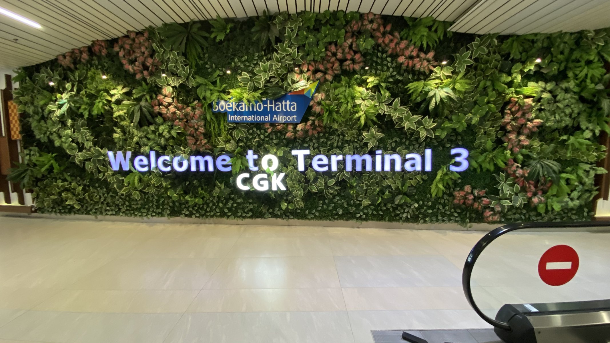 IMG_5859.jpeg IMG_5859.jpeg