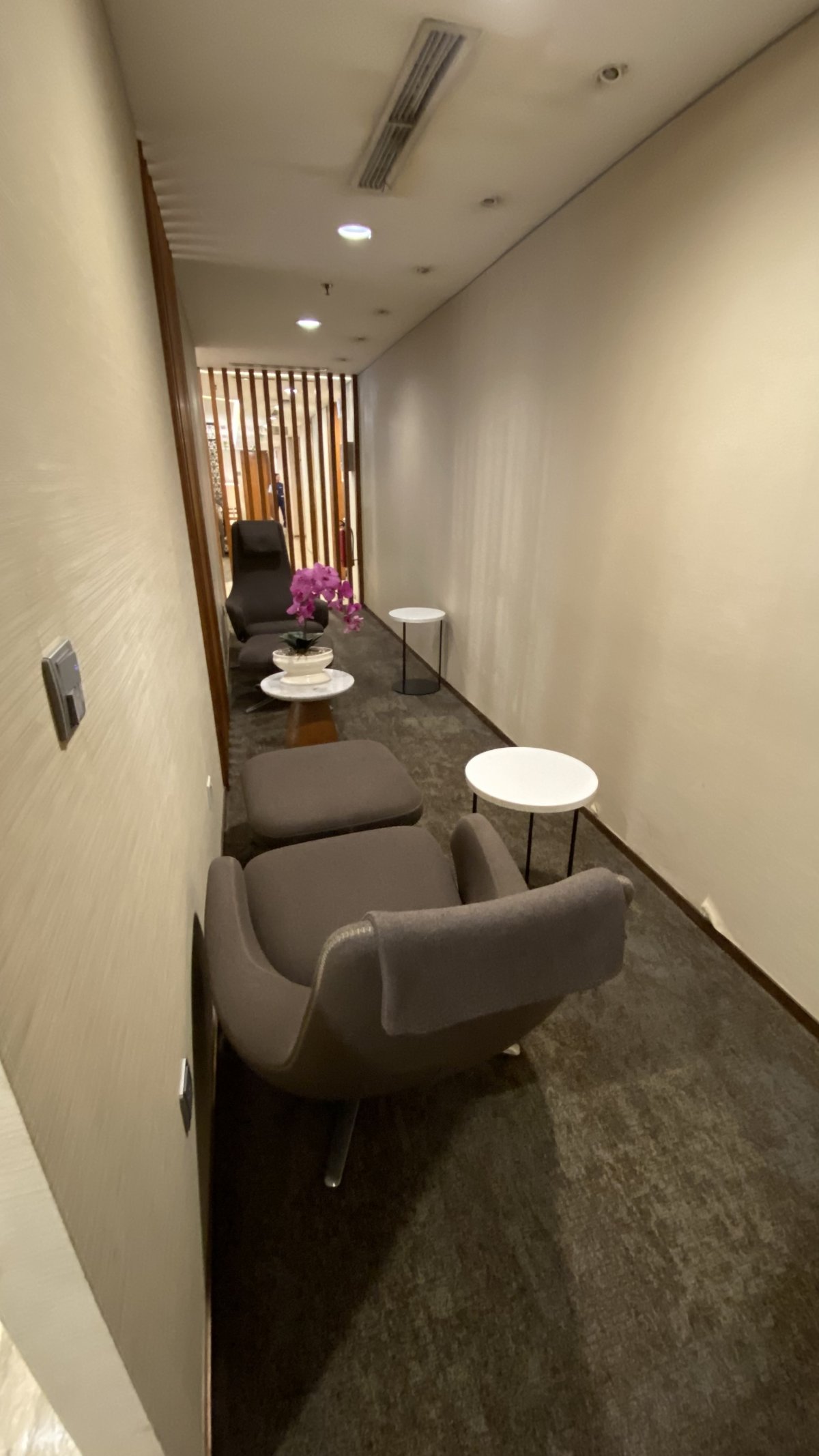 IMG_5872.jpeg IMG_5872.jpeg