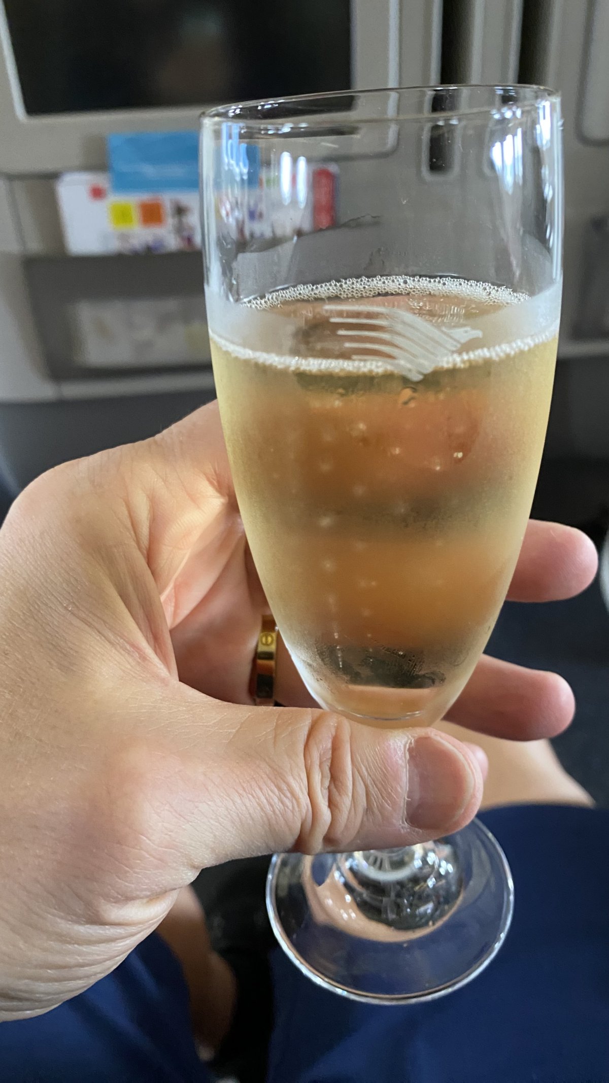 IMG_5889.jpeg IMG_5889.jpeg