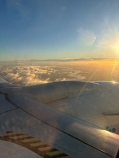 IMG_0168.jpeg IMG_0168.jpeg