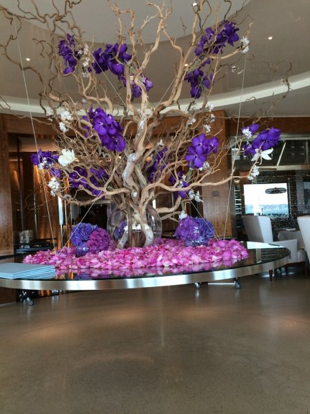 Genève juni 2014 085.jpg