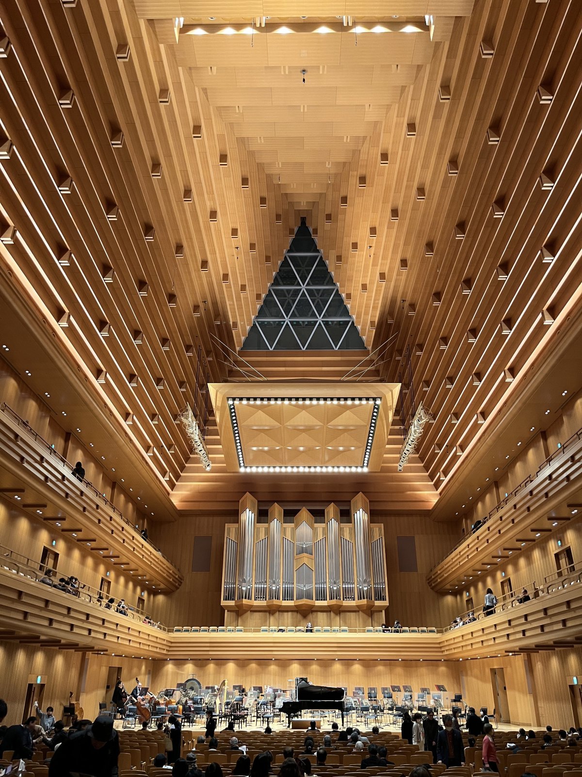 IMG_6039.jpeg IMG_6039.jpeg