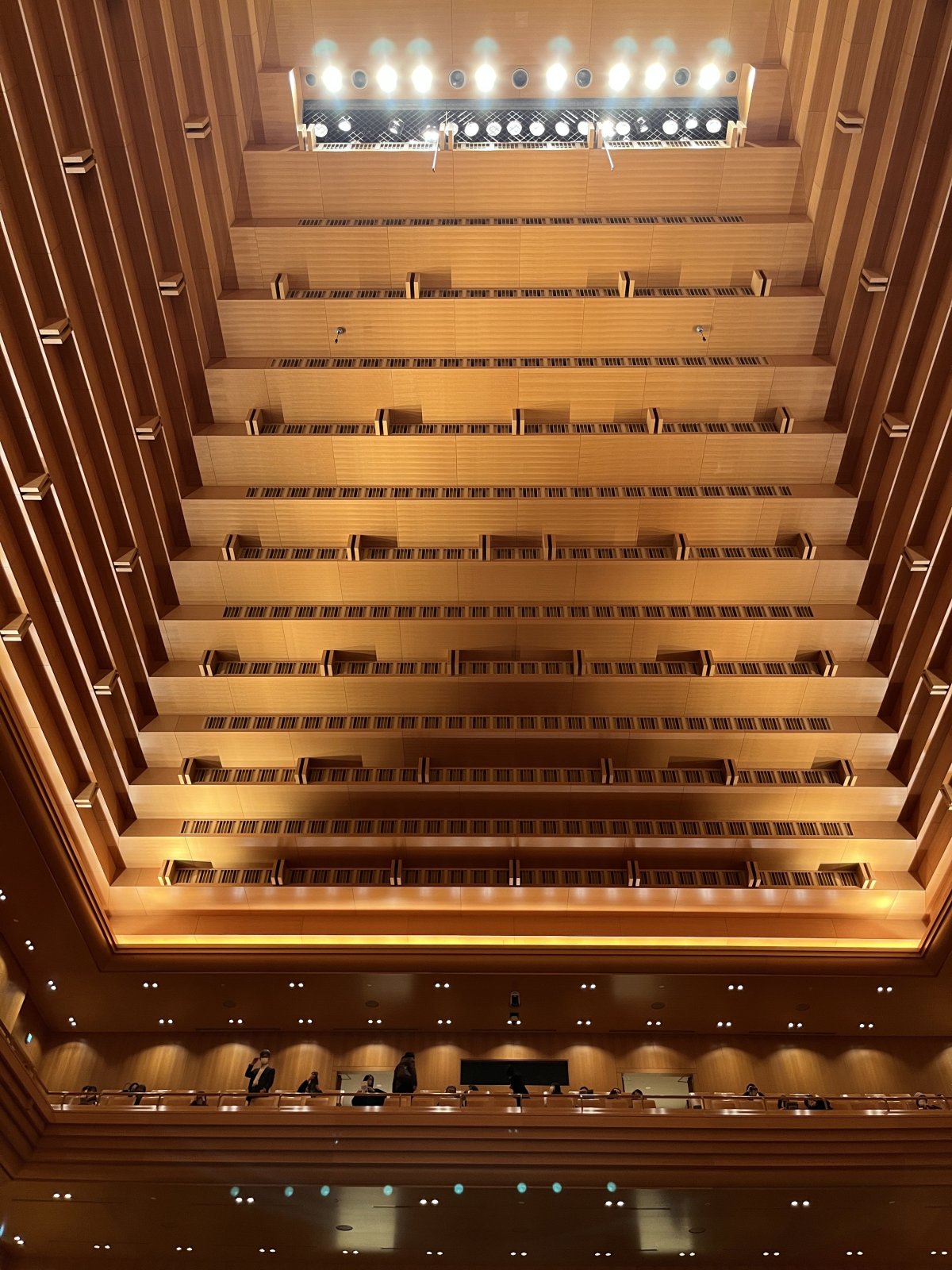 IMG_6041.jpeg IMG_6041.jpeg