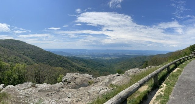 IMG_2328.jpeg IMG_2328.jpeg