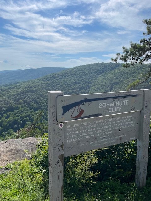 IMG_2334.jpeg IMG_2334.jpeg