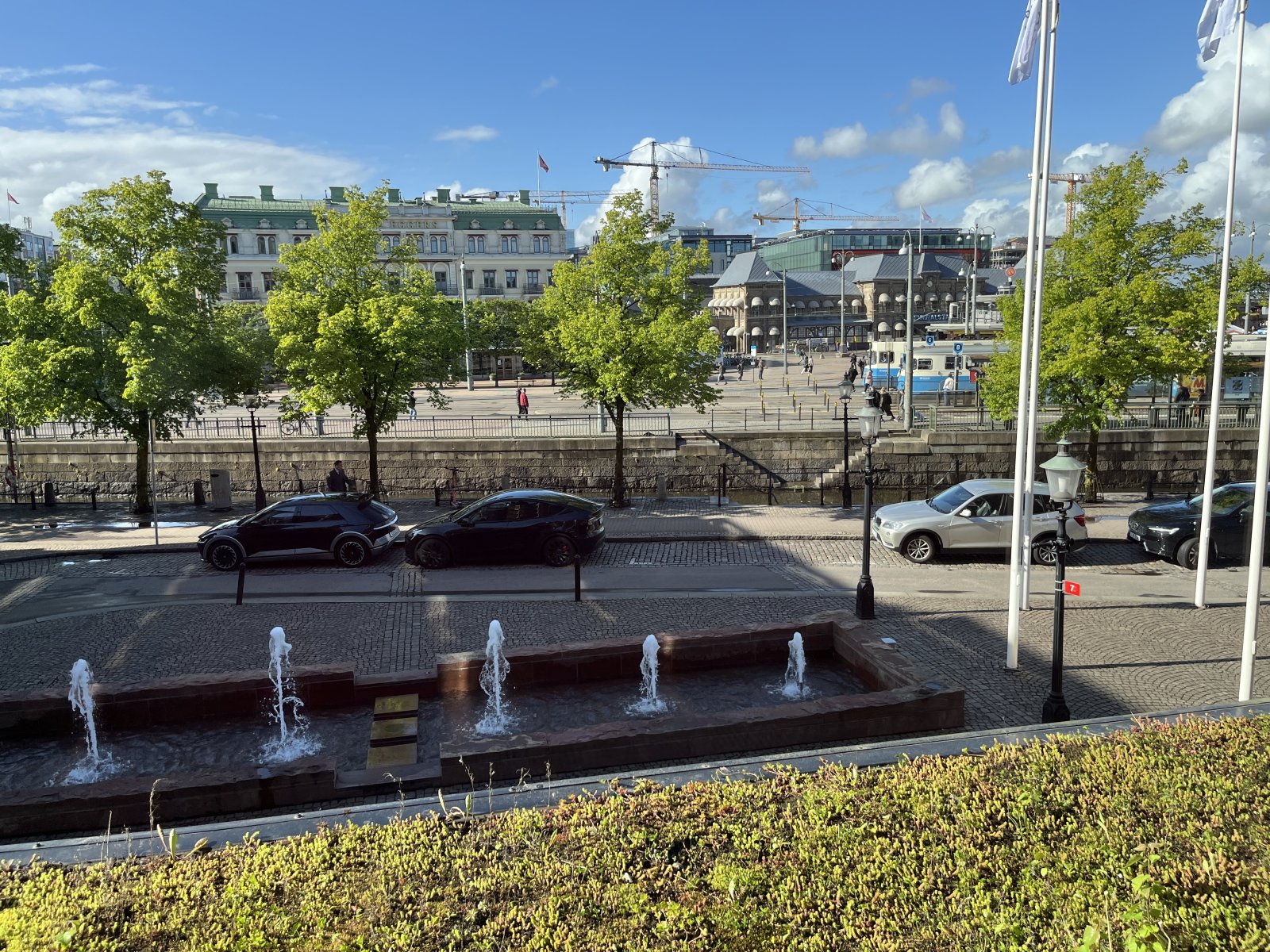 IMG_6704.jpeg IMG_6704.jpeg