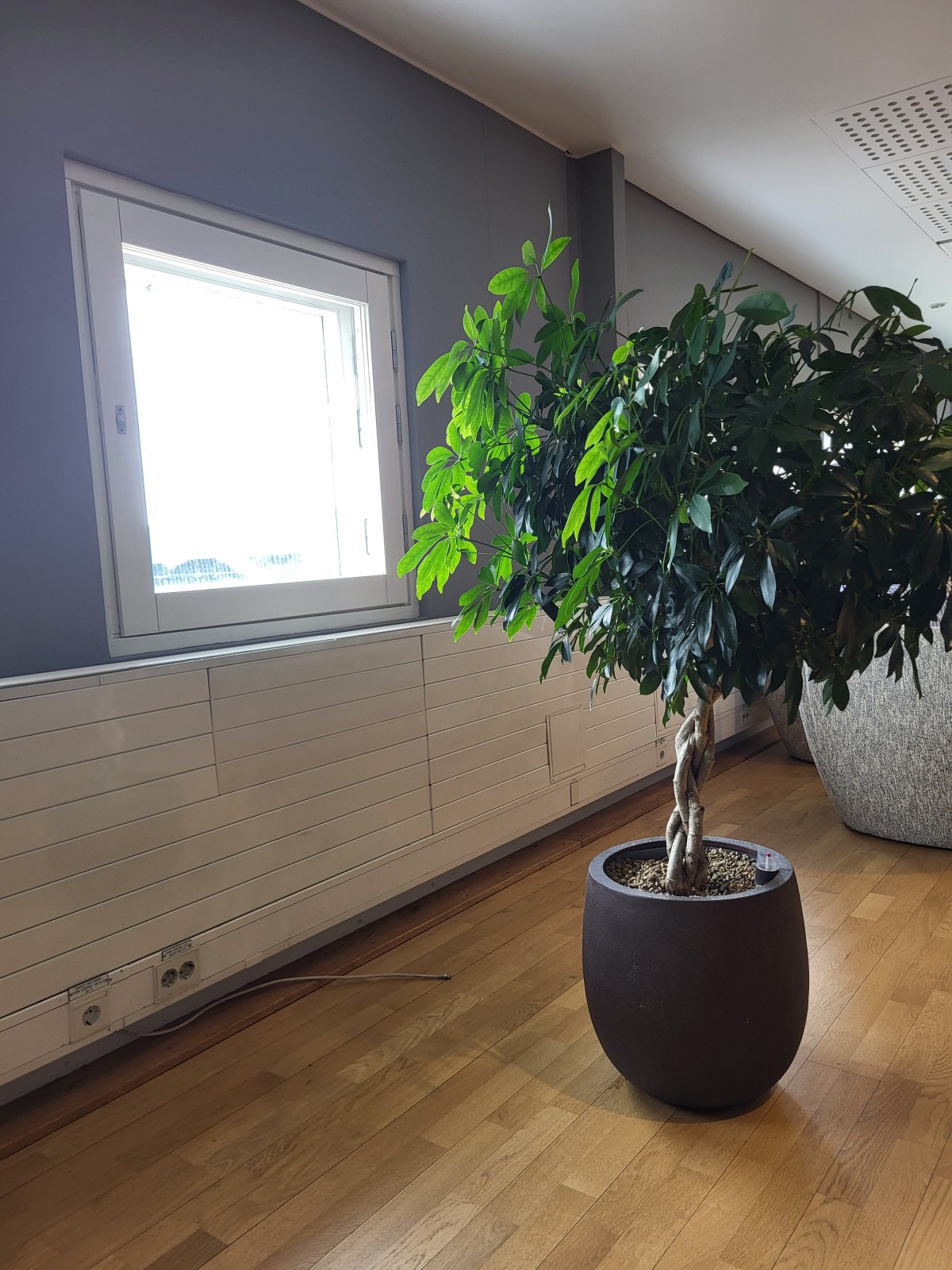 20250707_114838.jpg 20250707_114838.jpg