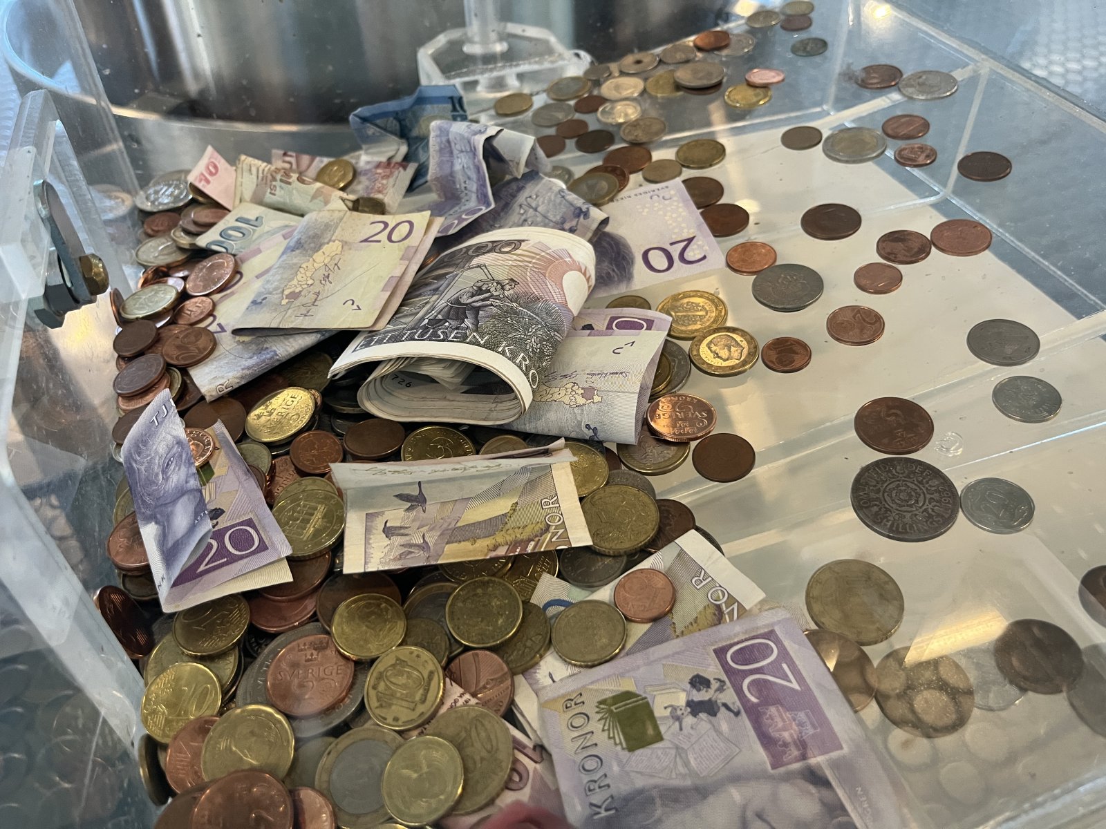 IMG_7060.jpeg IMG_7060.jpeg