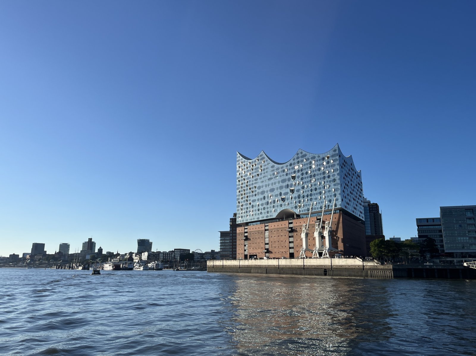 IMG_7196.jpeg IMG_7196.jpeg