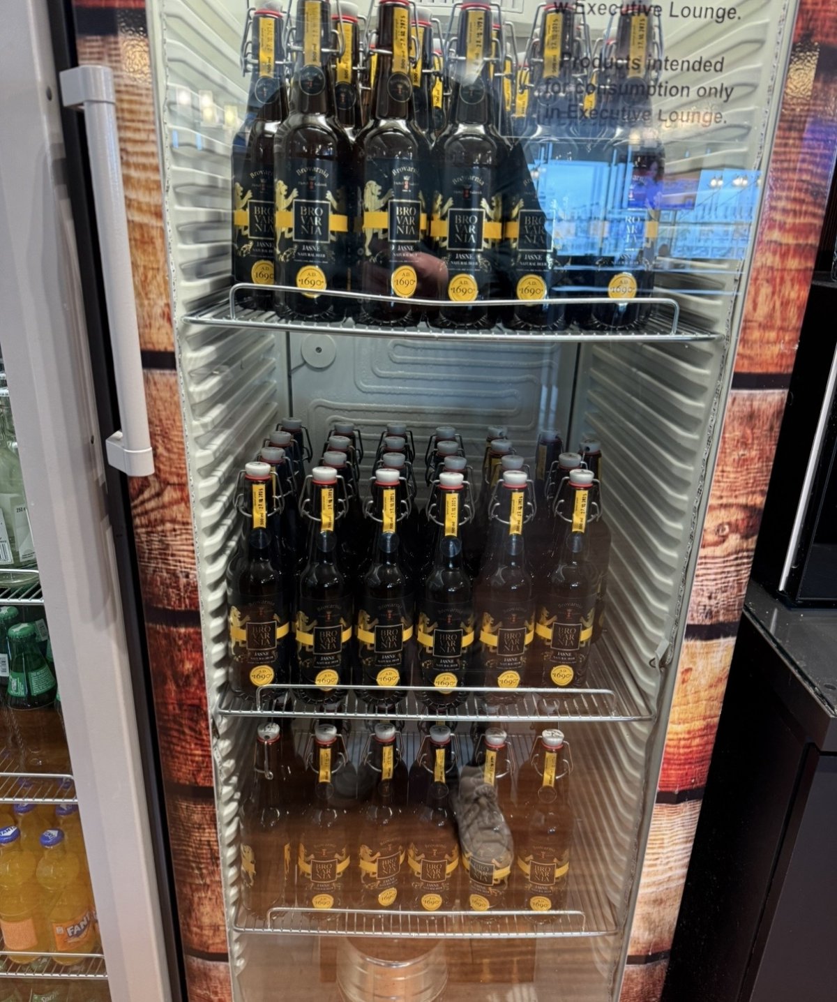 IMG_9377.jpeg IMG_9377.jpeg