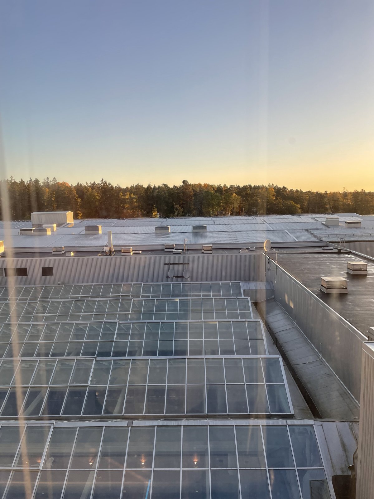 IMG_8588.jpeg IMG_8588.jpeg