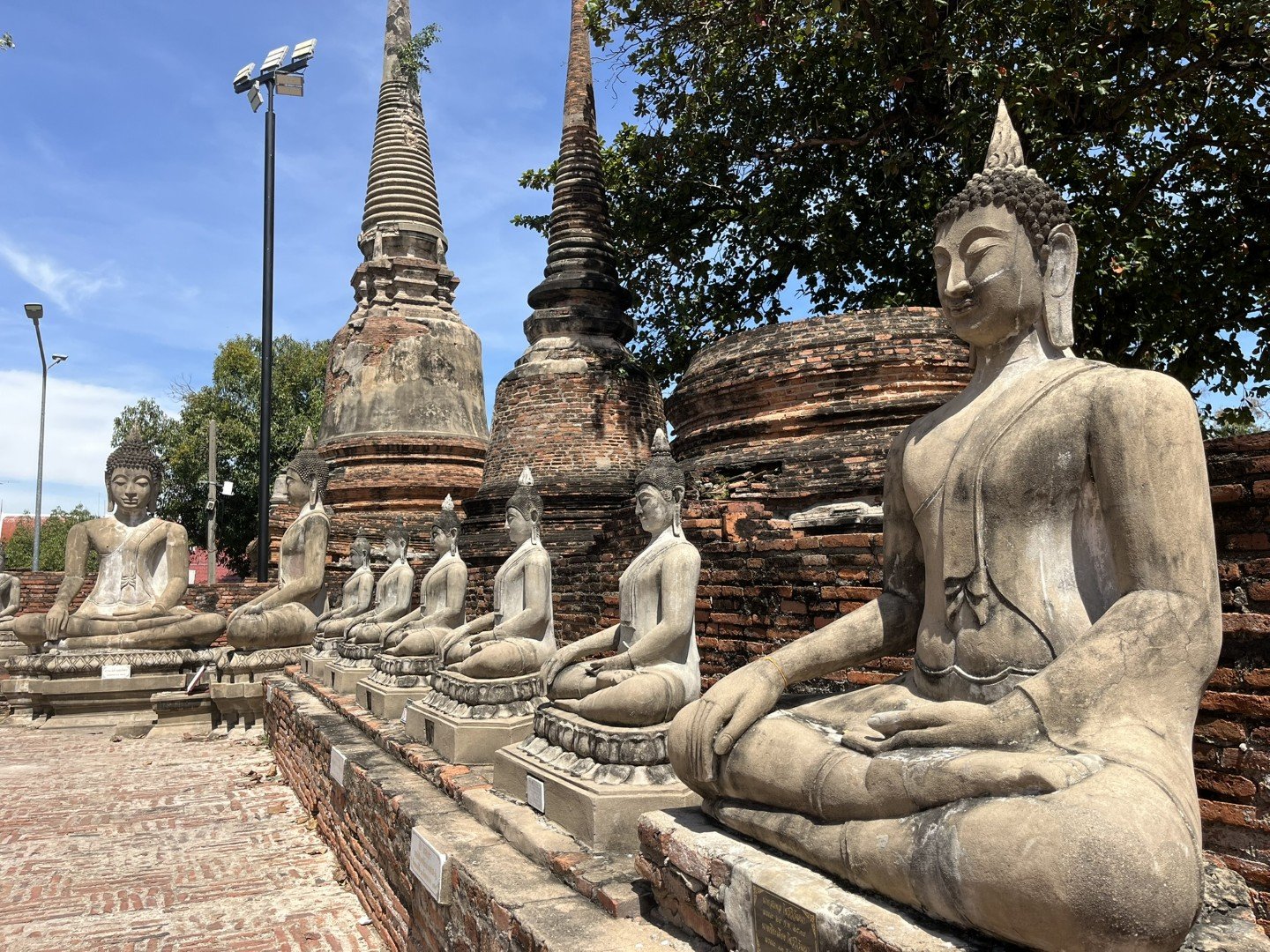 IMG_7021 (Stor).JPEG