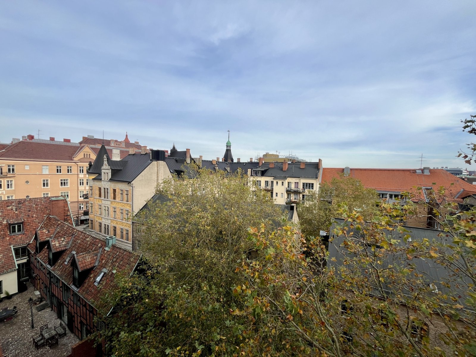 IMG_7682.jpeg IMG_7682.jpeg