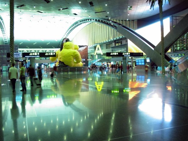 IMG_3953.jpg IMG_3953.jpg