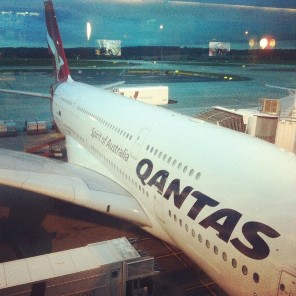 IMG_1243.jpg IMG_1243.jpg