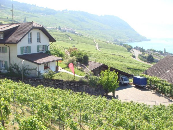 Lavaux6.jpg Lavaux6.jpg