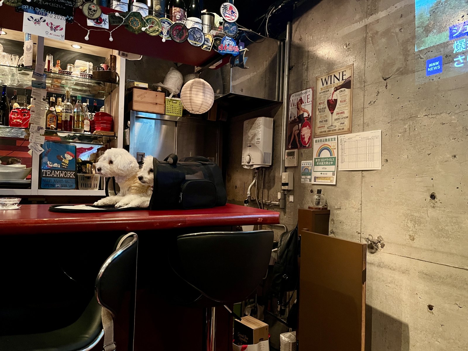 IMG_6080.jpeg IMG_6080.jpeg