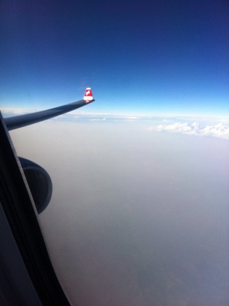 lx wing.jpg lx wing.jpg