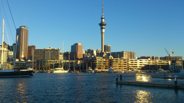 DSC_1310.jpg DSC_1310.jpg