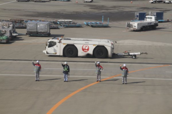 IMG_3446.JPG IMG_3446.JPG