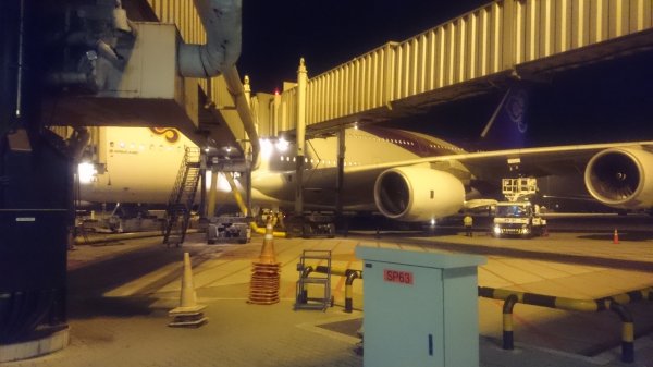 DSC_0384.JPG DSC_0384.JPG