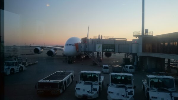 DSC_0387.JPG DSC_0387.JPG