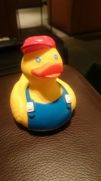 1427614696311-1867616681.jpg 1427614696311-1867616681.jpg