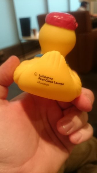 1427615112223-442954046.jpg 1427615112223-442954046.jpg