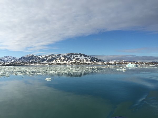 IMG_1192.jpg IMG_1192.jpg