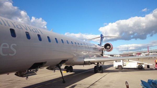 DSC_2593.JPG DSC_2593.JPG