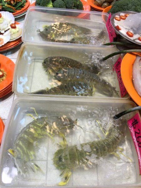 2015-10 Oktober 592.JPG 2015-10 Oktober 592.JPG