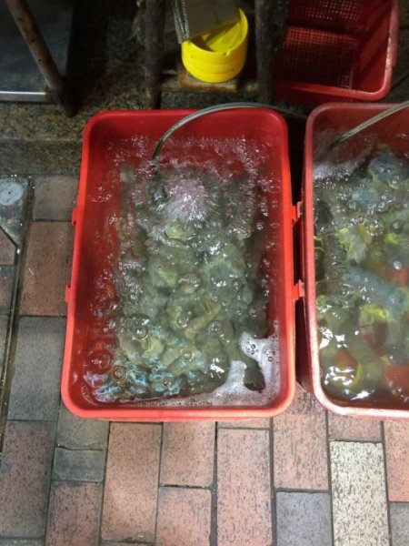 2015-10 Oktober 601.JPG 2015-10 Oktober 601.JPG