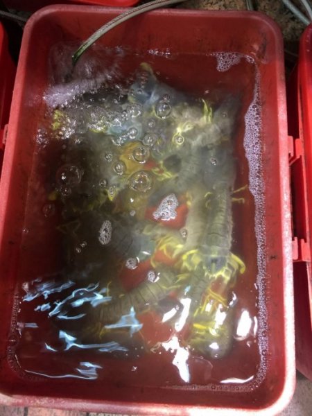 2015-10 Oktober 602.JPG 2015-10 Oktober 602.JPG