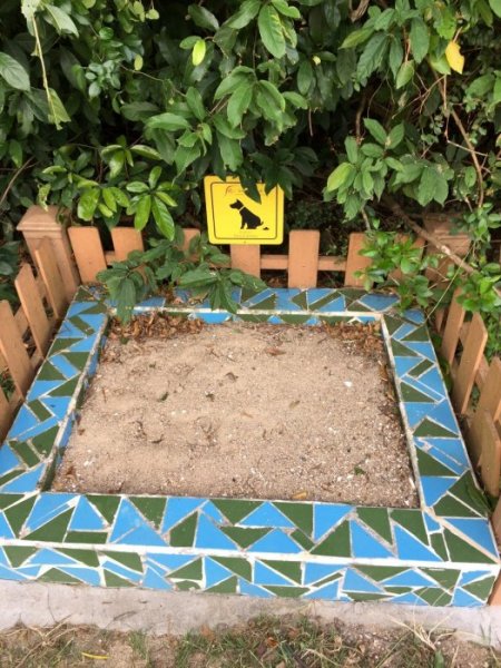 2015-10 Oktober 726.JPG 2015-10 Oktober 726.JPG