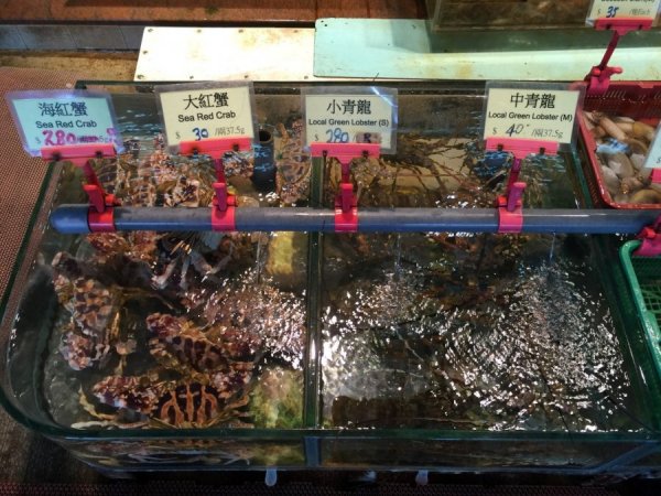 2015-10 Oktober 754.JPG 2015-10 Oktober 754.JPG