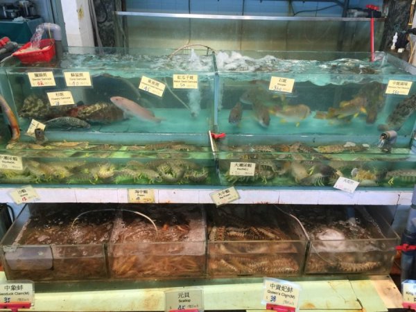 2015-10 Oktober 755.JPG 2015-10 Oktober 755.JPG