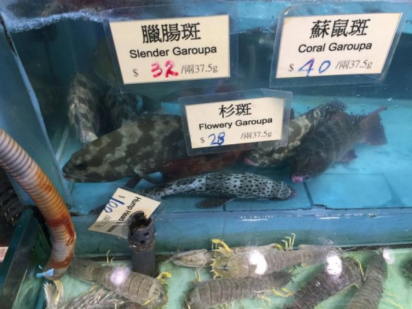 2015-10 Oktober 757.JPG 2015-10 Oktober 757.JPG