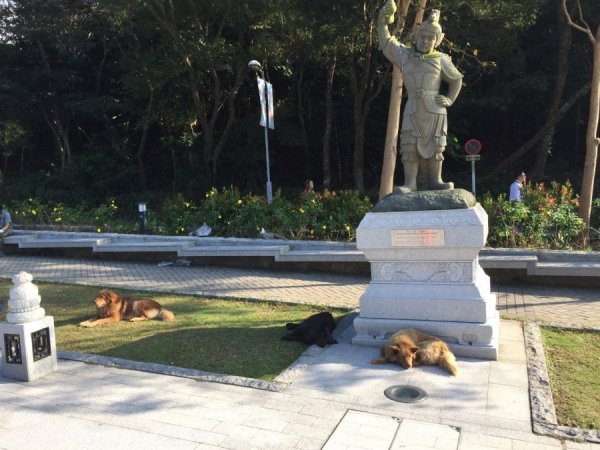 2015-10 Oktober 954.JPG 2015-10 Oktober 954.JPG