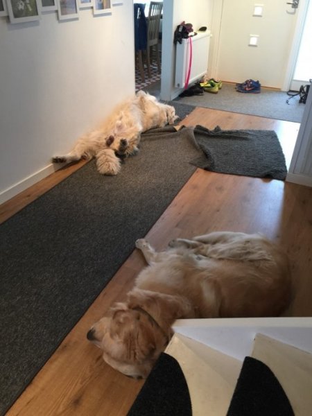 2016 Januari Februari 501.JPG 2016 Januari Februari 501.JPG