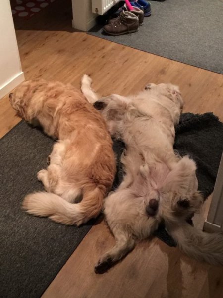 2016 Januari Februari 581,5.JPG 2016 Januari Februari 581,5.JPG