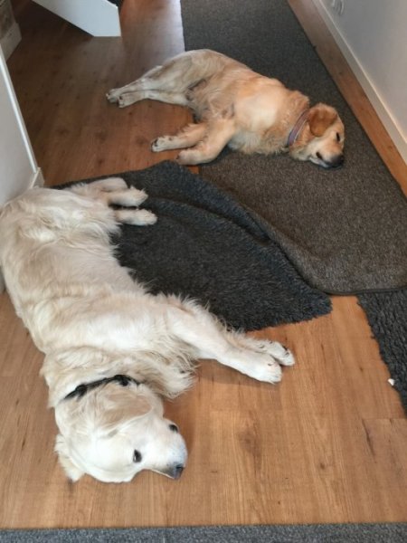 2016 Januari Februari 671,5.JPG 2016 Januari Februari 671,5.JPG