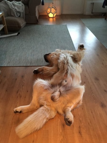 2016 Januari Februari 675.JPG 2016 Januari Februari 675.JPG