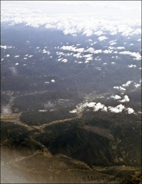 IMG_4855.jpg IMG_4855.jpg