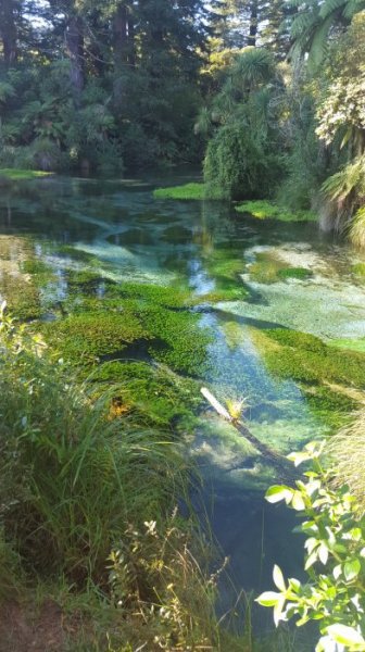 20160327_164716.jpg 20160327_164716.jpg