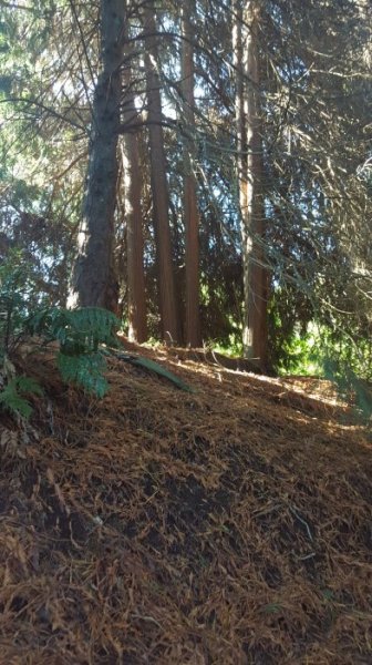 20160327_165150.jpg 20160327_165150.jpg