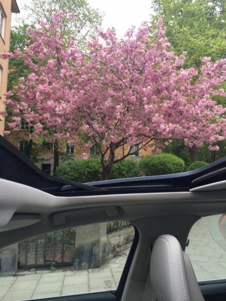 image.jpeg image.jpeg