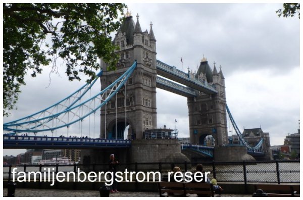 lo 8 familjenbergstrom reser.jpg